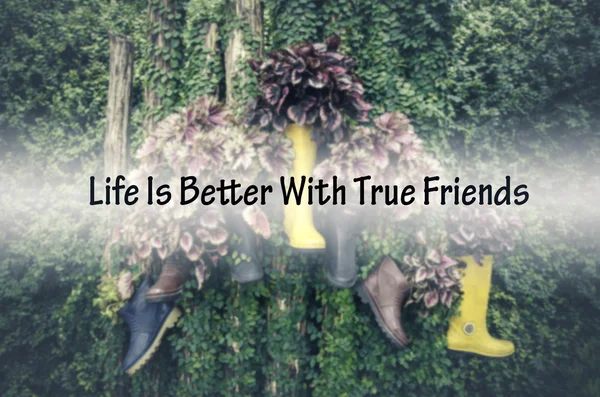 friendship quote life is better with true Friends