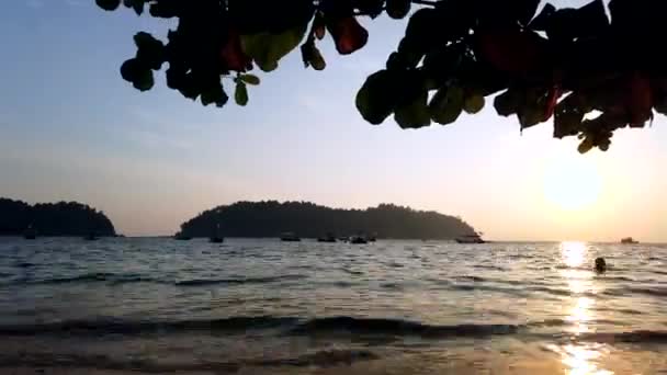 PANGKOR ISLAND, MALAYSIA - 16 ΜΑΡΤΙΟΥ 2020: timelapse πλάνα τοπίο κατά τη διάρκεια του ηλιοβασιλέματος της τροπικής παραλίας έναντι χρυσό και θολό φόντο του ουρανού — Αρχείο Βίντεο