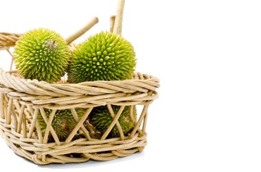 Durian sepet üzerinde grup