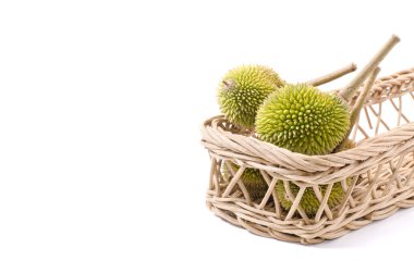 Durian sepet üzerinde grup