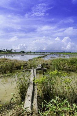 Dikey Açı ahşap köprü kanal geçiş