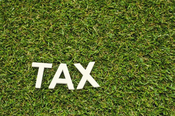 Image concept word tax made froom wood on artificial grass — Stock Photo, Image