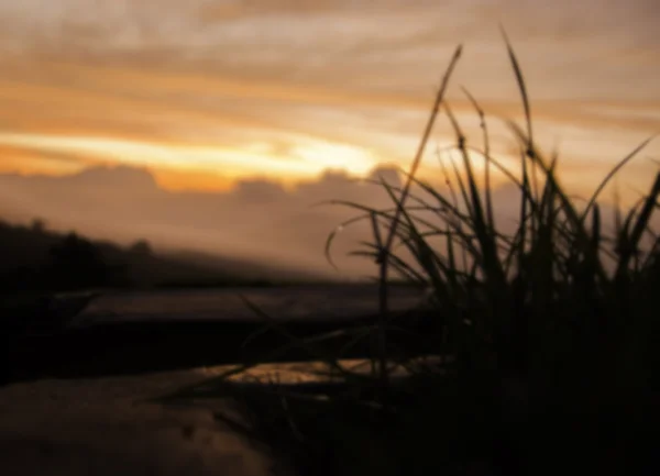 日の出時草と朝の露の画像をブレします。 — ストック写真
