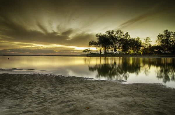 Ağaç yansıma su ve güzelliği günbatımı sunrise.sand ve sıcak ortam