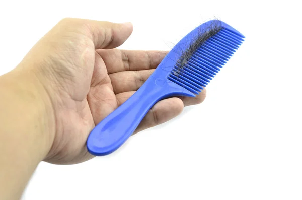 Hand holding blue comb contain hairfall — Stock Photo, Image