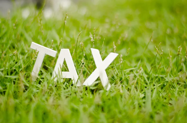 Word tax on green grass — Stock Photo, Image
