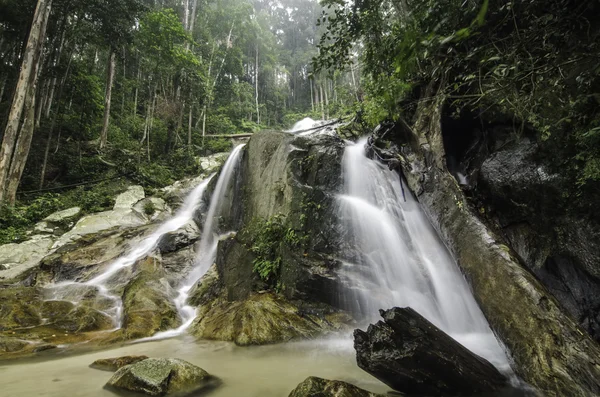 Hermosa cascada rodeada de verde bosque natural — Foto de Stock
