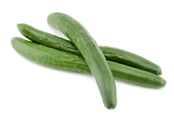 Fresh raw zucchini fruit vegetable — Stock Photo, Image