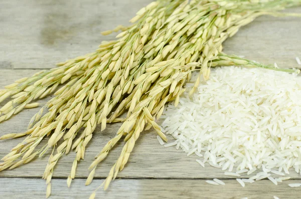 Imagen de primer plano de arroz blanco y arrozal —  Fotos de Stock