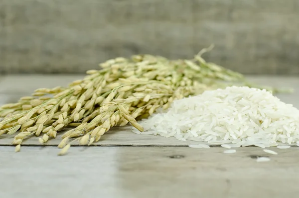 Arroz blanco y arroz con cáscara —  Fotos de Stock