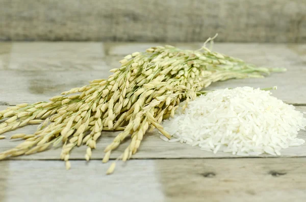 Arroz y arroz —  Fotos de Stock