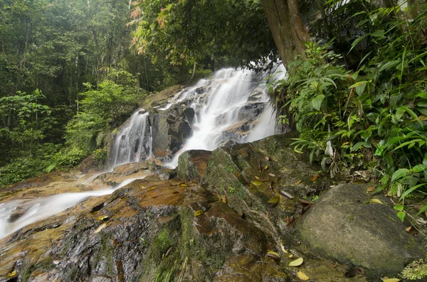 The beauty of tropical  waterfall flow. mossy on the rock — Stock Photo, Image