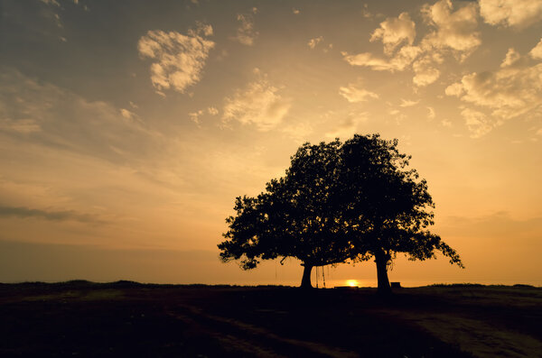 Silhouette tree image at the seashore.yellow background color during sunset sunrise. dramatic soft cloud