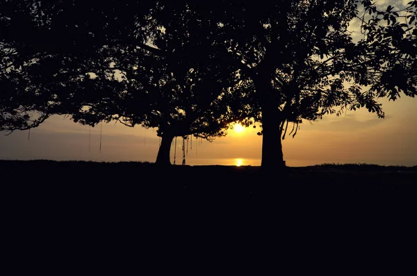 Immagine dell'albero di silhouette da vicino . — Foto Stock