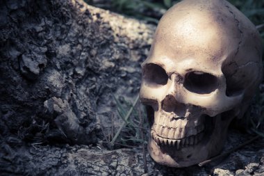 Kafatası ormanda, dijital efekt soyut stil ağacı altında