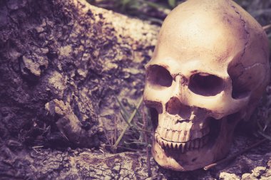 Kafatası ormanda, dijital efekt soyut stil ağacı altında