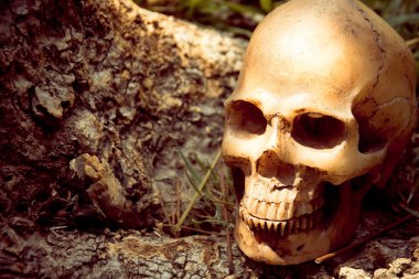 Kafatası ormanda, dijital efekt soyut stil ağacı altında