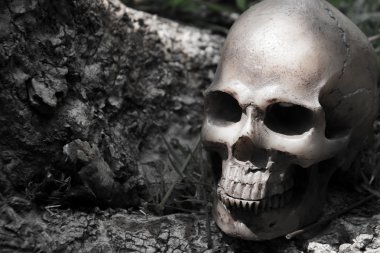 Kafatası ormanda, dijital efekt soyut stil ağacı altında