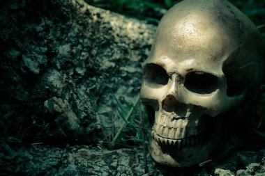 Kafatası ormanda, dijital efekt soyut stil ağacı altında