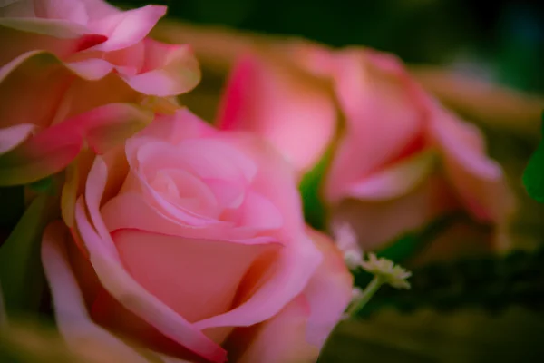 Ramo de rosas rosadas en el jardín, efecto digital abstracto para —  Fotos de Stock