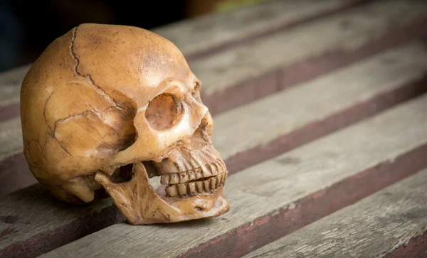 Crânio colocado em madeira, efeito digital abstrato para fundo — Fotografia de Stock
