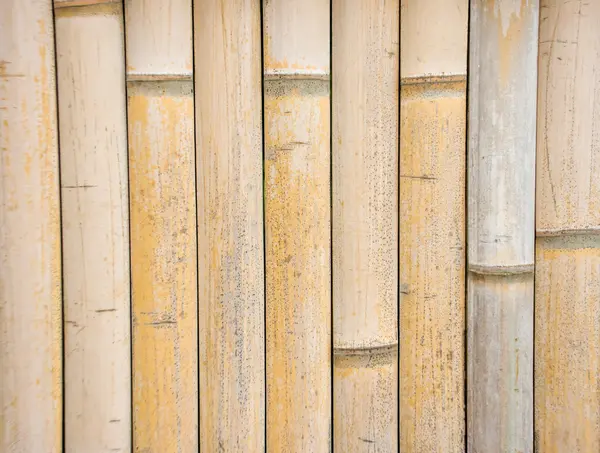 The close up bamboo fence for background — Stock Photo, Image