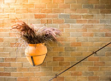 Bir tuğla duvar vintage saksı