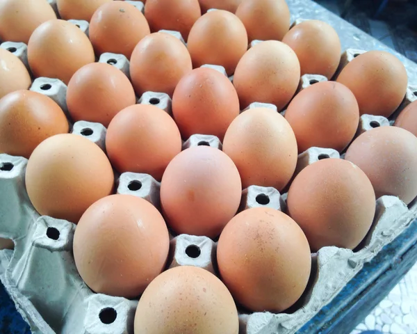 계란 판지 트레이에 — 스톡 사진