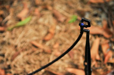 küçük plastik yağmurlama