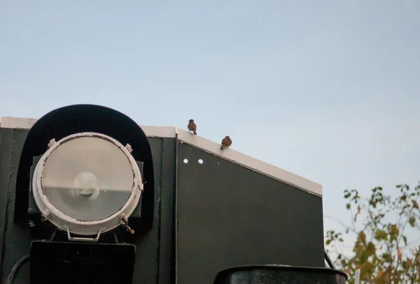 Lâmpada dianteira da locomotiva a vapor velha com pássaros pequenos — Fotografia de Stock