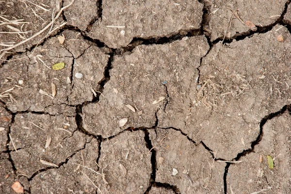 La texture du sol brisé sur le sol dans les terres agricoles — Photo