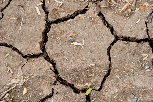 La consistenza del suolo rotto sul terreno nei terreni agricoli — Foto Stock