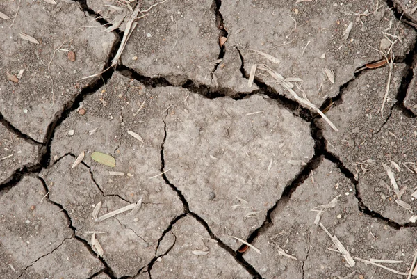 La consistenza del suolo rotto sul terreno nei terreni agricoli — Foto Stock