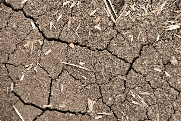 Το σπασμένο έδαφος υφή στο έδαφος σε γεωργικές εκτάσεις — Φωτογραφία Αρχείου