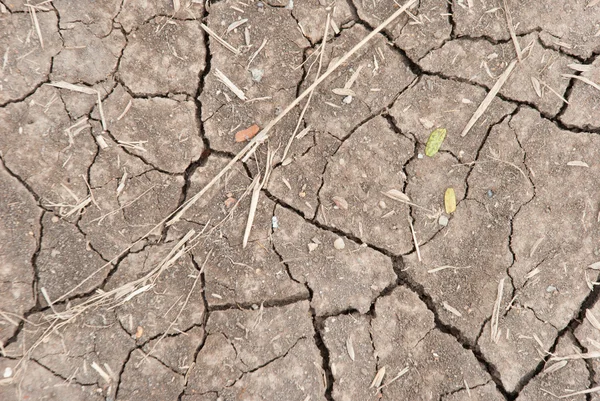 La textura del suelo roto en el suelo en tierras de cultivo —  Fotos de Stock