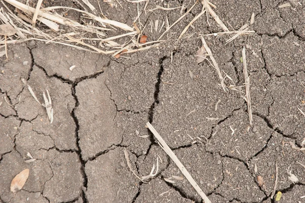 La consistenza del suolo rotto sul terreno nei terreni agricoli — Foto Stock