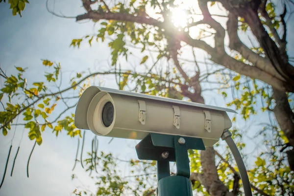 Valkoinen CCTV kamera, jossa on puu ja taivas taustalla — kuvapankkivalokuva