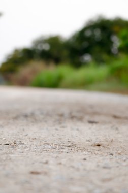 Ağaç ve yeşil renkli çakıl yol