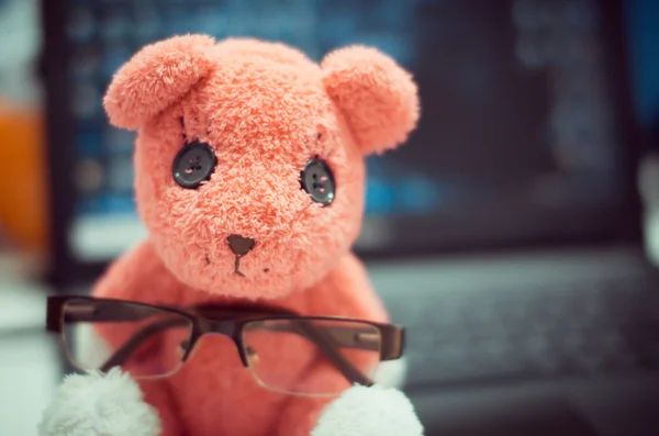 L'ours en peluche avec des lunettes assis sur l'ordinateur portable — Photo