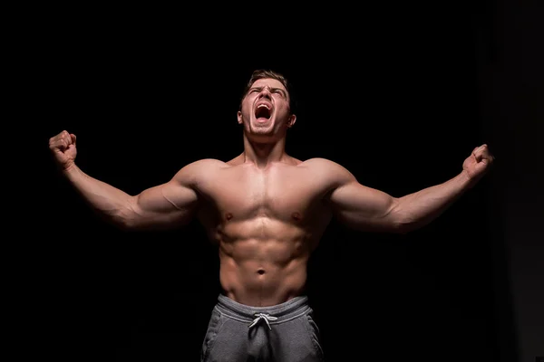 Seksi kas fitness adam