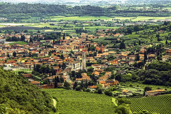이탈리아 베네토 산트암 텔라에 대항하는 이탈리아의 포도주 양조장과 농장의 — 스톡 사진