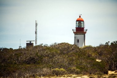 Cape Town, Güney Afrika 'daki Robben Adası tepesinde deniz fenerinin çalılara karşı manzarası