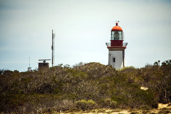 Szcenírozott Kilátás Világítótorony Ellen Bokor Dombon Robben Island Fokváros Dél — Stock Fotó