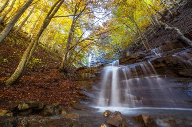 Sonbahar aylarında ormanın ortasındaki şelale manzarası Cascate del Lavachiello, Monte cusna, Reggio Emilia, İtalya