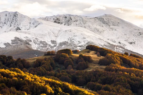Widok Złote Wzgórza Przed Zaśnieżoną Górą Jesienią Ventasso Reggio Emilia — Zdjęcie stockowe