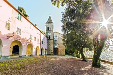 Cinque Terre, La Spezia, İtalya 'da Sovyet tapınağı ve zeytin ağacı