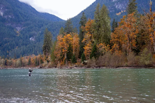 Man Stands Squamish River Fly Fishing British Columbia Vibrant Autumn — Stock Photo, Image