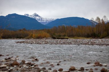 A view of the Squamish River with mountains behind in the fall (autumn) when the leaves begin to change color in British-Columbia, Canada