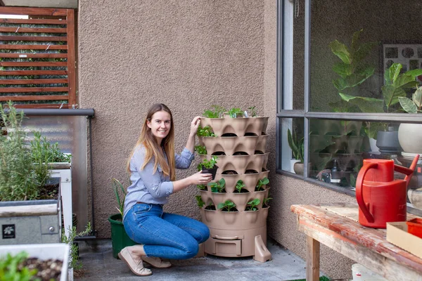 A young blonde woman is planting a vertical tower garden with herbs and vegetables on her apartment patio, in the early spring. She is holding a small mint starter, deciding where to plant it.