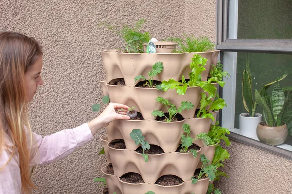A young blonde woman is planting a vertical tower garden with herbs and vegetables on her apartment patio, in the early spring. She is holding a small starter, ready to plant it.